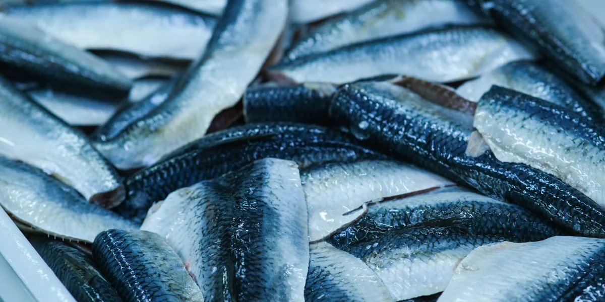 Разморозка происходит, пока температура в теле рыбы не повысится до -1+1 градуса. Как правило, требуются сутки, чтобы продукт из -18 градусов достиг нужной температуры