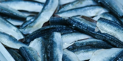 Разморозка происходит, пока температура в&nbsp;теле рыбы не повысится до&nbsp;-1+1 градуса. Как правило, требуются сутки, чтобы продукт из&nbsp;-18 градусов достиг нужной температуры