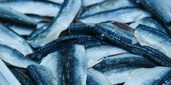 Разморозка происходит, пока температура в теле рыбы не повысится до -1+1 градуса. Как правило, требуются сутки, чтобы продукт из -18 градусов достиг нужной температуры