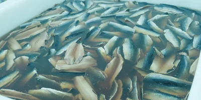 Ванну для посола наполняют водой, добавляют все необходимые ингредиенты и, конечно же, рыбу. Здесь селёдка проведёт до четырёх суток