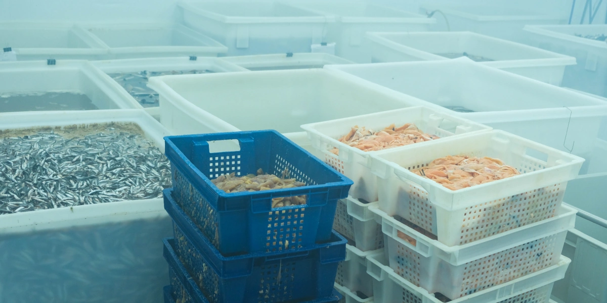 На предприятии введено цветовое кодирование: в&nbsp;ёмкостях разного цвета солится рыба для&nbsp;разных сетей, ведь их составы могут отличаться друг от&nbsp;друга