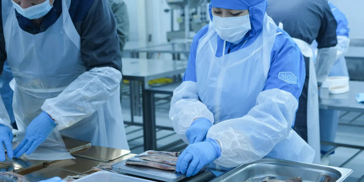 Все процессы осуществляются вручную, чтобы в упаковку рыба попала в идеальном виде