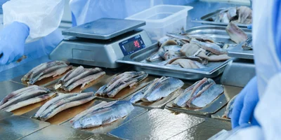 Рыбу на подложке помещают в вакуум, наносят этикетку и передают на хранение в холодильник с готовой продукцией