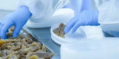 В цеху работают мощные лампы, здесь светло как днём: задача персонала — вручную перебрать сырьё и тщательно следить за наличием гельминтов в икре