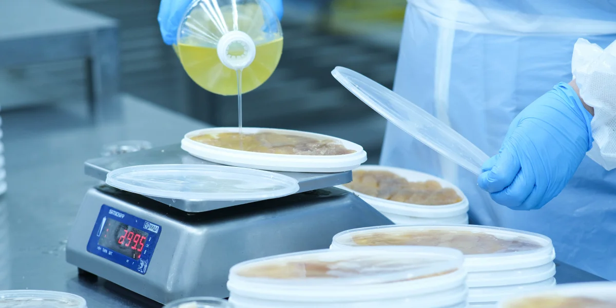 Баночки заливают маслом и закупоривают