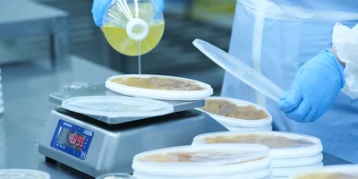 Баночки заливают маслом и закупоривают