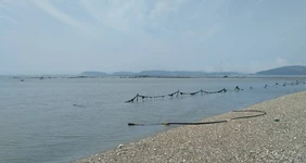 Морская и хрустящая