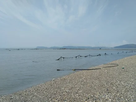 Морская и хрустящая