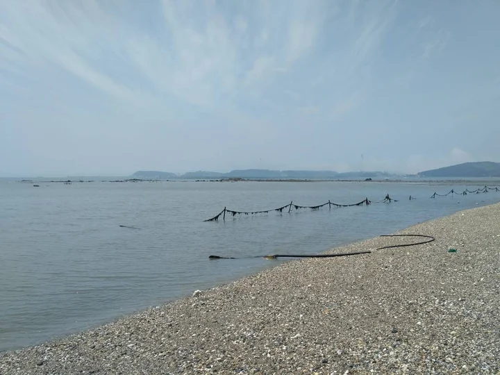 Морская и хрустящая