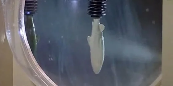 Кадр из открытых источников, использован в иллюстративных целях