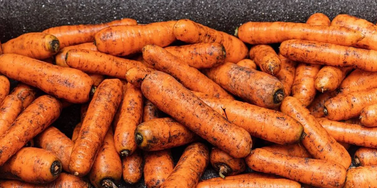 Рецепт оливье: как готовят салат в промышленном масштабе