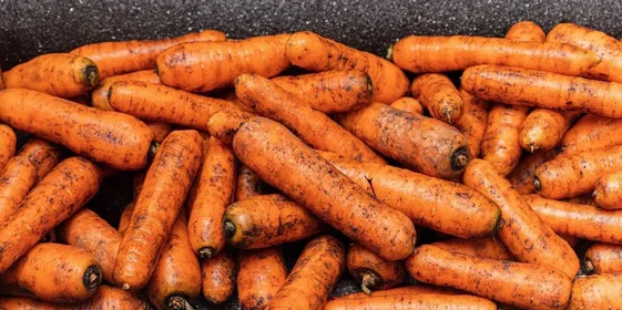 Рецепт оливье: как готовят салат в промышленном масштабе