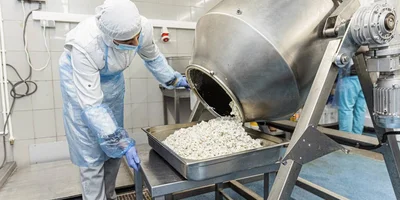 Рецепт оливье: как готовят салат в промышленном масштабе