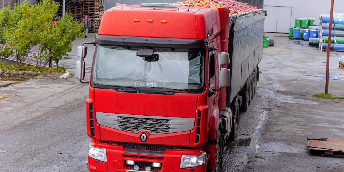 При производстве соков на предприятии используют яблоки из садов Краснодарского и Ставропольского края, Ростовской области, Дагестана и Крыма