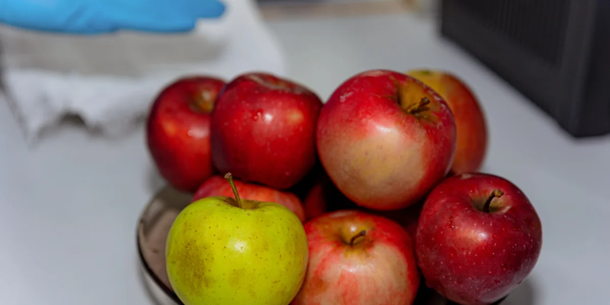 С каждой партии отбирается средняя проба яблок для лабораторного анализа. Определяется засорённость яблок: какой процент приходится на листики, веточки