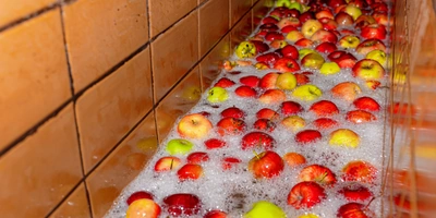 Сначала яблоки моют под холодной водой, потом подают на конвейер, где их тщательно перебирают вручную, убирая веточки и листочки. После этого моют ещё раз и только потом отправляют в дробилку