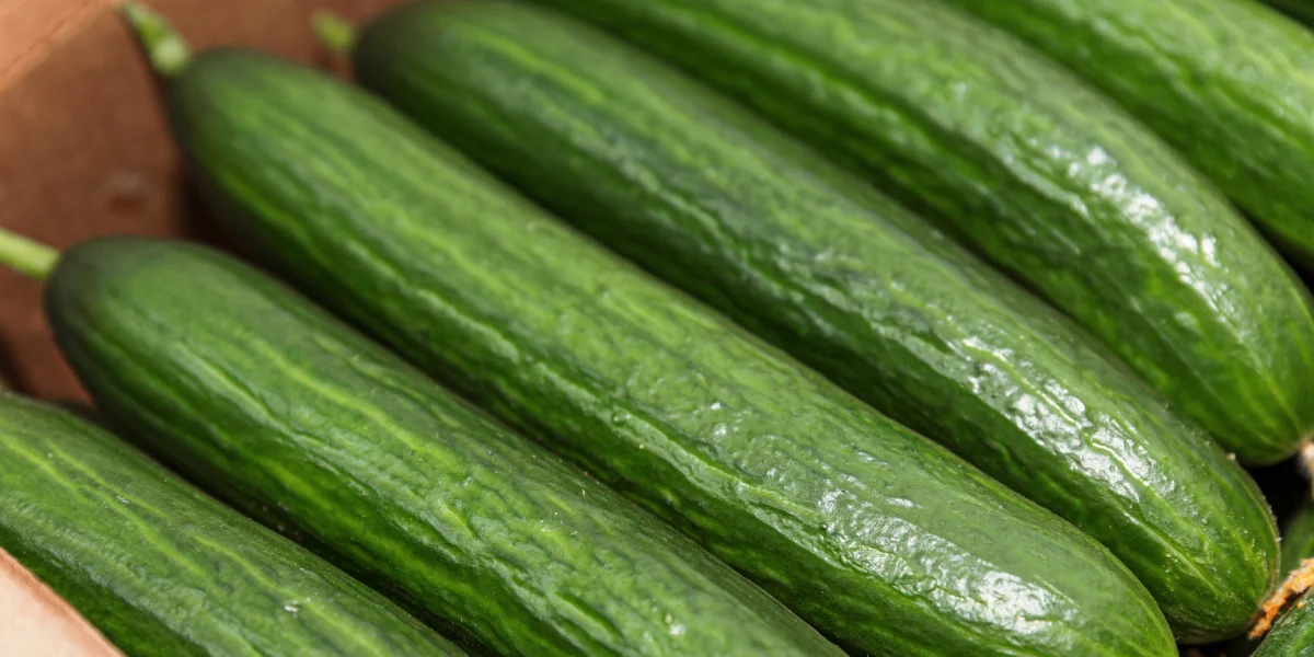 Для приготовления роллов используют только длинноплодные огурцы, полоски которых можно распределить по всей длине ролла