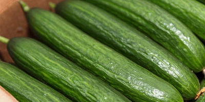 Для приготовления роллов используют только длинноплодные огурцы, полоски которых можно распределить по&nbsp;всей длине ролла