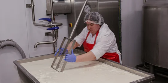 На предприятии действует полный цикл производства: от выращивания и заготовки кормов до получения собственного молока и упаковки готовой продукции