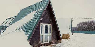 Для козлов-репродукторов выделены собственные дома с огороженной уличной территорией