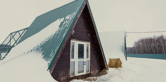 Для козлов-репродукторов выделены собственные дома с огороженной уличной территорией