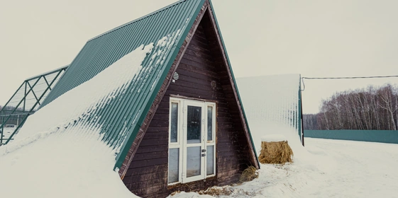 Для козлов-репродукторов выделены собственные дома с&nbsp;огороженной уличной территорией