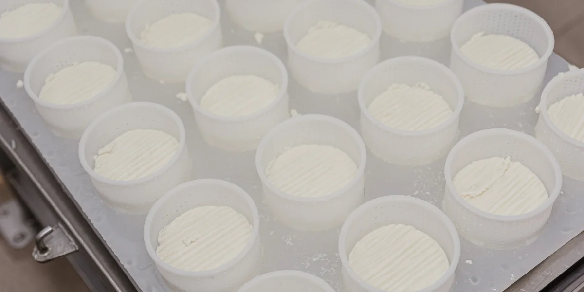 При производстве сыров с плесенью используют самопрессование. Для этого их закладывают в специальные формы, которые периодически переворачивают, пока сыр не сформируется окончательно