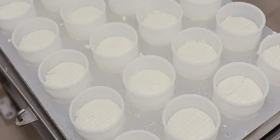 При производстве сыров с плесенью используют самопрессование. Для этого их закладывают в специальные формы, которые периодически переворачивают, пока сыр не сформируется окончательно