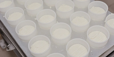 При производстве сыров с&nbsp;плесенью используют самопрессование. Для&nbsp;этого их закладывают в&nbsp;специальные формы, которые периодически переворачивают, пока сыр не сформируется окончательно