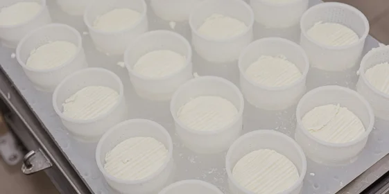 При производстве сыров с плесенью используют самопрессование. Для этого их закладывают в специальные формы, которые периодически переворачивают, пока сыр не сформируется окончательно