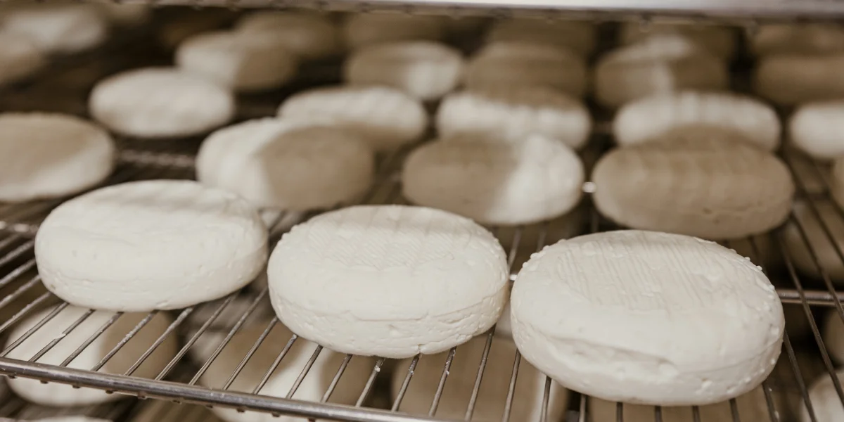 Созревание сыра — сложный комплекс взаимосвя­занных реакций: здесь включены и микробиология, и физико-химические про­цессы