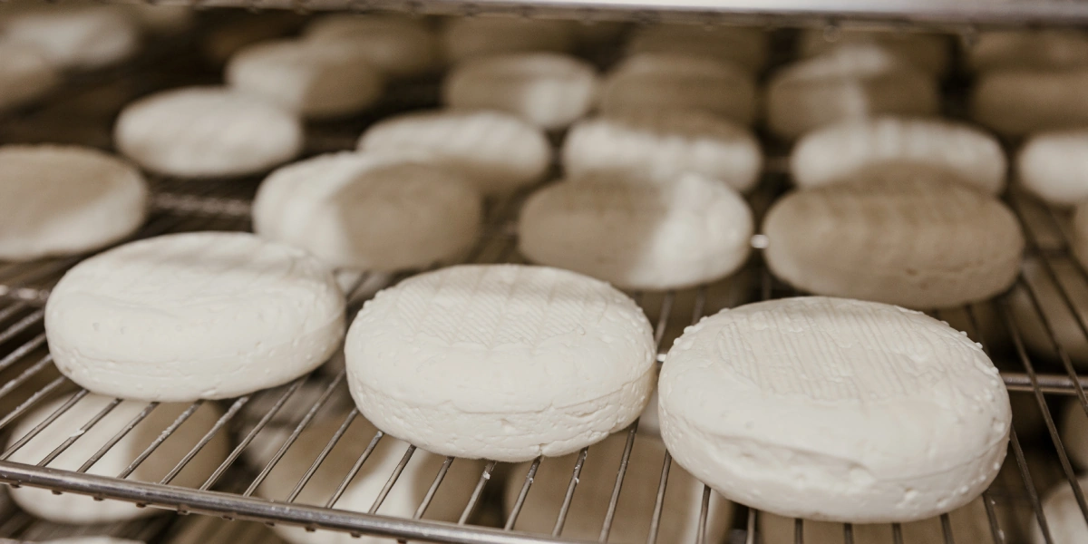 Созревание сыра — сложный комплекс взаимосвя­занных реакций: здесь включены и&nbsp;микробиология, и&nbsp;физико-химические про­цессы