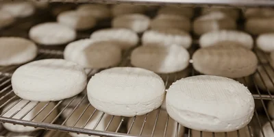 Созревание сыра — сложный комплекс взаимосвя­занных реакций: здесь включены и микробиология, и физико-химические про­цессы