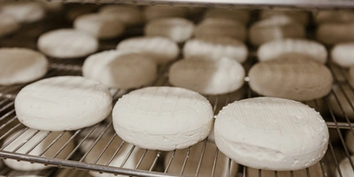 Созревание сыра — сложный комплекс взаимосвя­занных реакций: здесь включены и&nbsp;микробиология, и&nbsp;физико-химические про­цессы