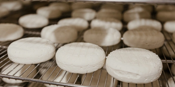 Созревание сыра — сложный комплекс взаимосвя­занных реакций: здесь включены и&nbsp;микробиология, и&nbsp;физико-химические про­цессы