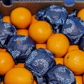 Главным претендентом на роль сочных долек стал апельсин Valencia. Этот сорт отличает тонкая кожура ярко-оранжевого цвета, сочная и сладкая мякоть