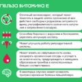 Польза и&nbsp;вред витамина Е