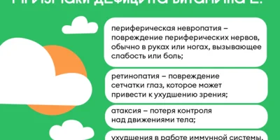 Польза и вред витамина Е