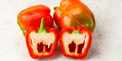 Польза и вред витамина Е