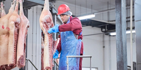 Перед приёмкой каждая партия мяса и птицы проходит тщательный контроль