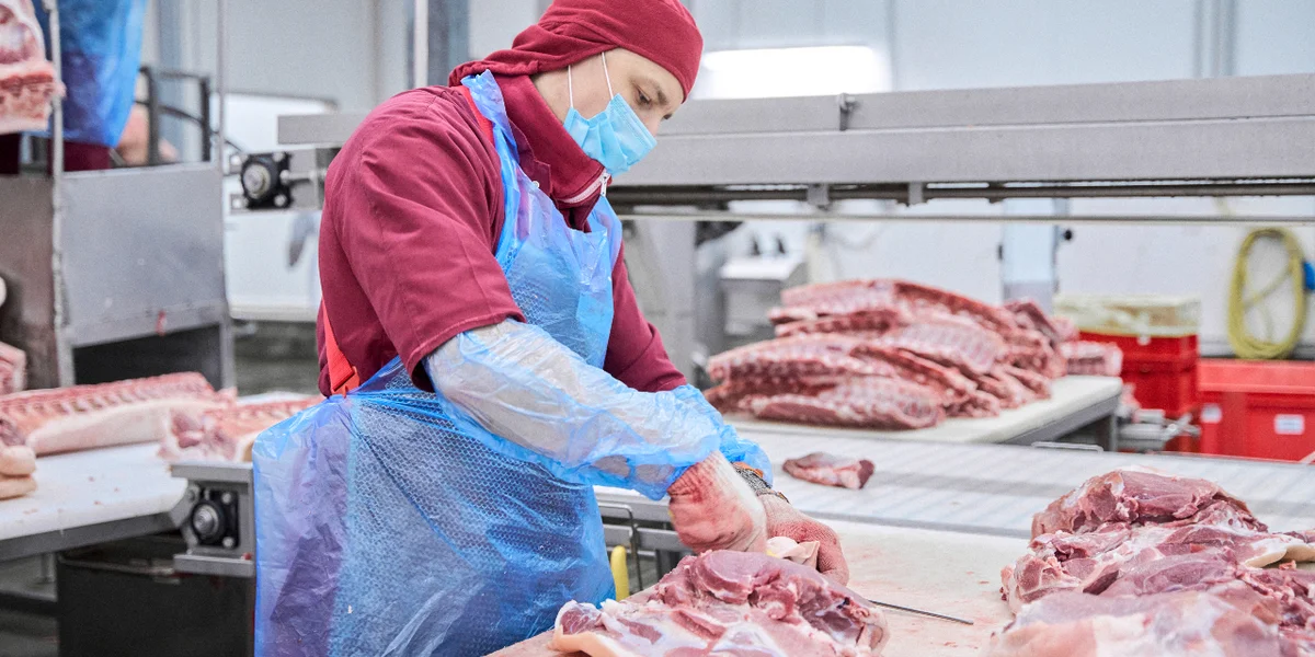 Вся работа по обвалке и жиловке мяса производится вручную: мякоть отделяют от крупных костей, зачищают его от плёнок, жил и мелких косточек и сортируют для дальнейшей переработки