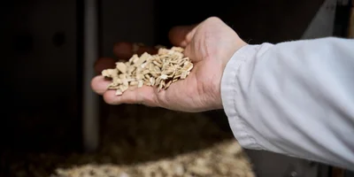 При термообработке продукта применяют натуральную щепу, никакого жидкого дыма и прочей химии