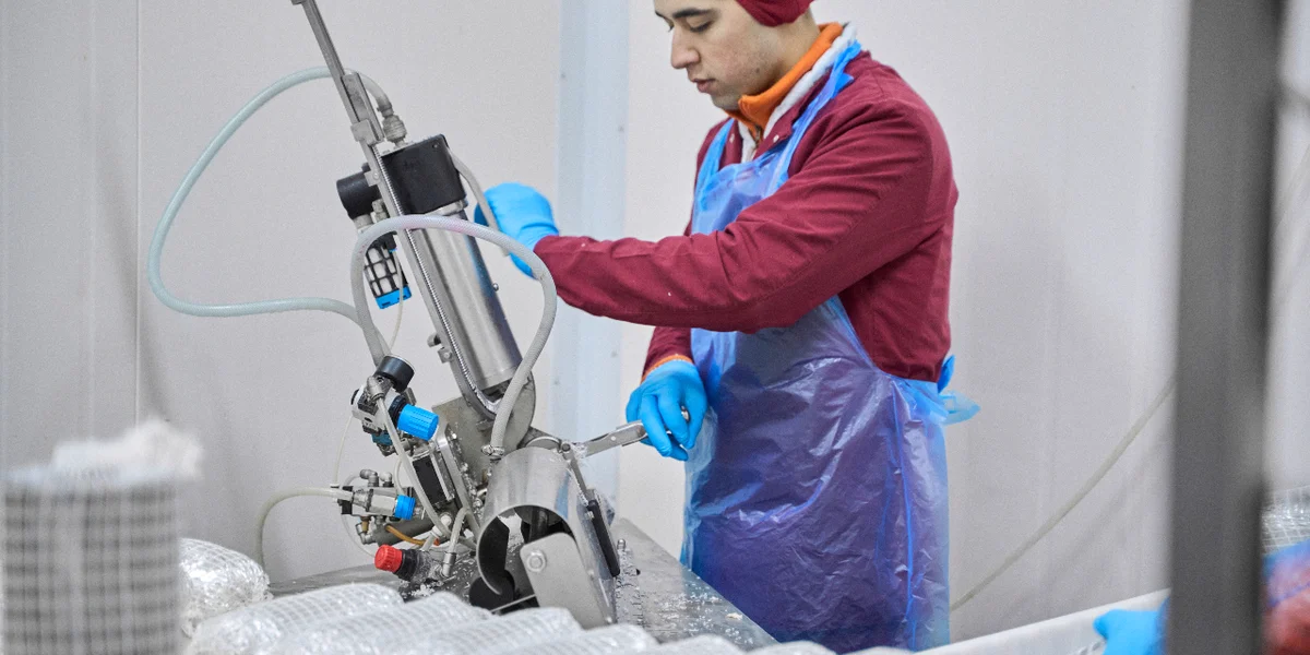 … и клипсуют