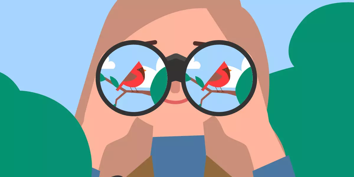Наблюдение за птицами: что такое бёрдвотчинг и зачем им заниматься