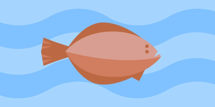 Камбала: где обитает, чем полезна, как готовить