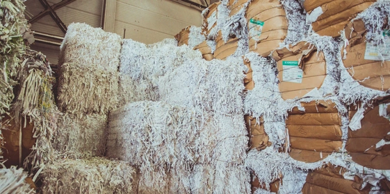 Туалетная бумага из&nbsp;макулатуры: экскурсия на&nbsp;экологичное производство