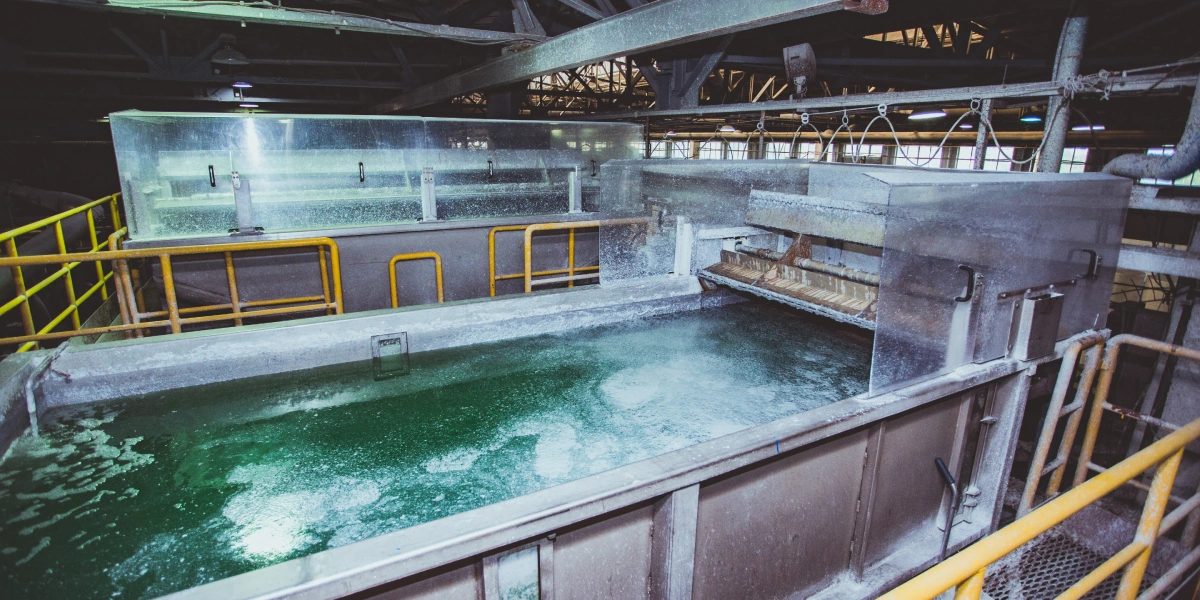 Туалетная бумага из&nbsp;макулатуры: экскурсия на&nbsp;экологичное производство