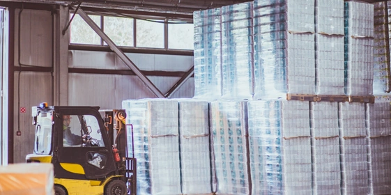 Туалетная бумага из&nbsp;макулатуры: экскурсия на&nbsp;экологичное производство