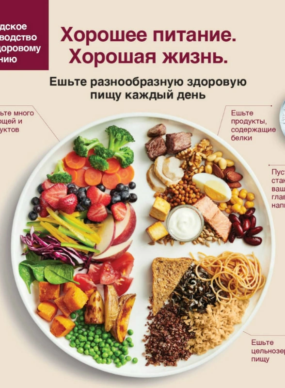 Рекомендации по&nbsp;питанию Канады