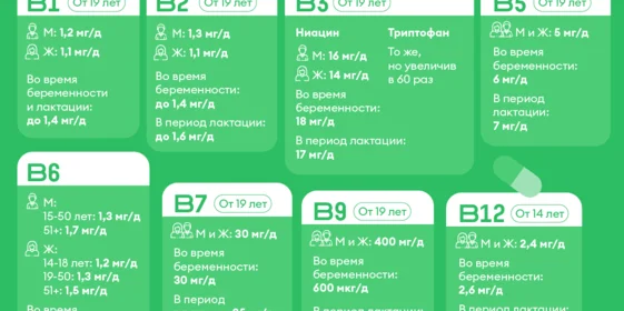 Источник энергии: зачем нужны витамины группы В